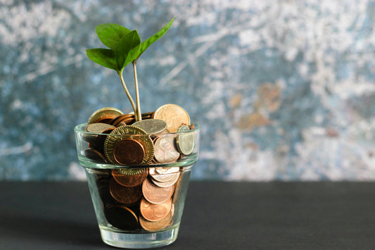 Financiële regelingen voor zorgouders: waar heb je recht op?
